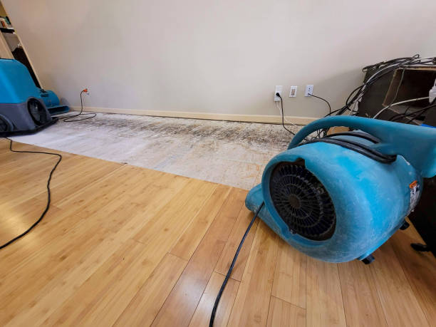 Reliable Basement Flood Cleanup contractor in Kirkland, IL by Hirex Water Damage