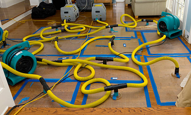 Professional Basement Flood Cleanup technician working in Kirkland, IL